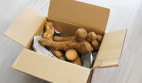 山わさびのご注文